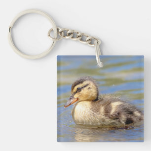 Mallard Duckling Key Ring