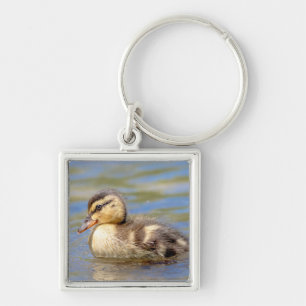 Mallard Duckling Key Ring