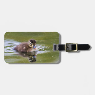 Mallard Duckling Luggage Tag