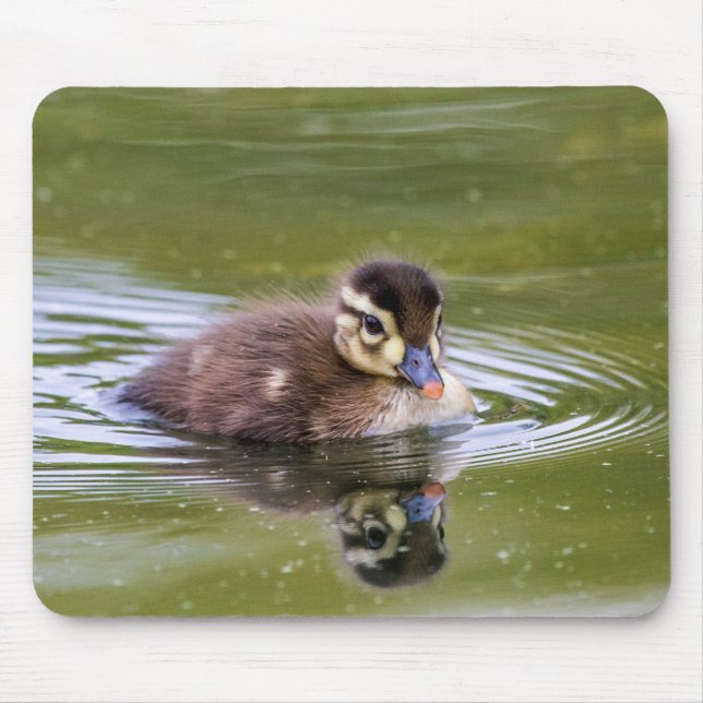 Mallard Duckling Mouse Pad (Front)
