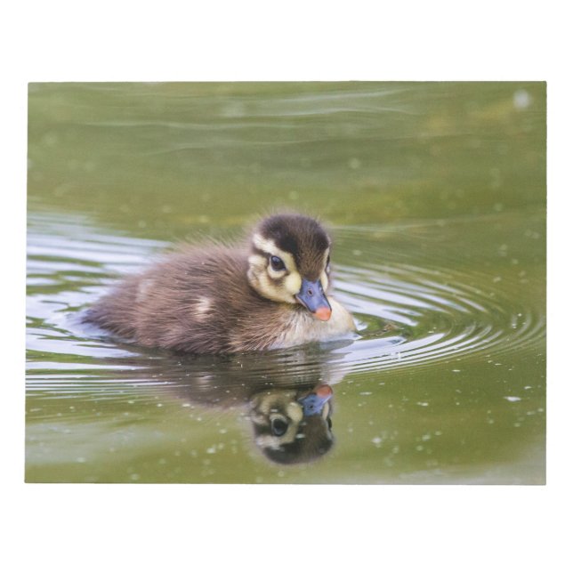 Mallard Duckling Notepad (Front)