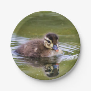 Mallard Duckling Paper Plate
