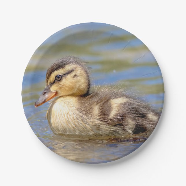 Mallard Duckling Paper Plate (Front)