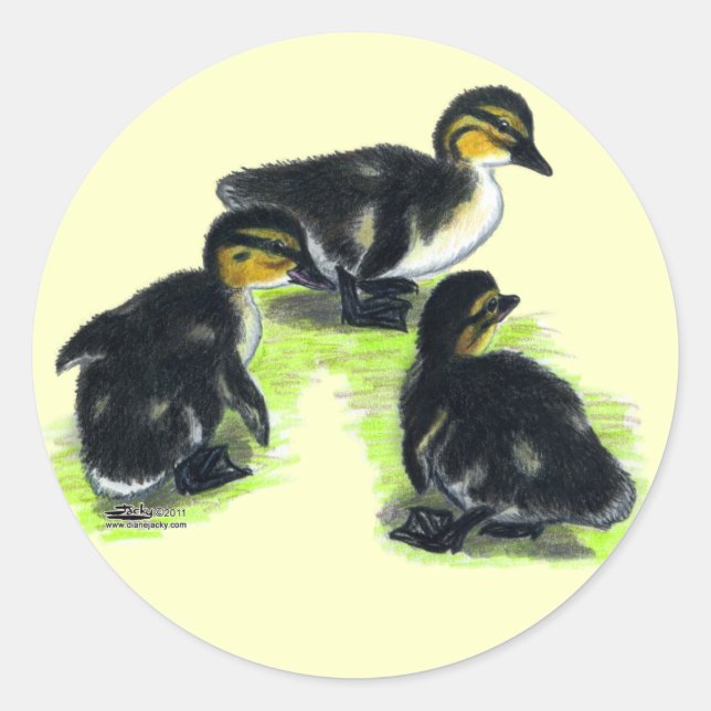 Mallard Ducklings Classic Round Sticker (Front)
