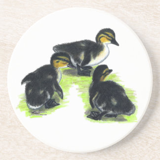 Mallard Ducklings Coaster