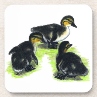 Mallard Ducklings Coaster