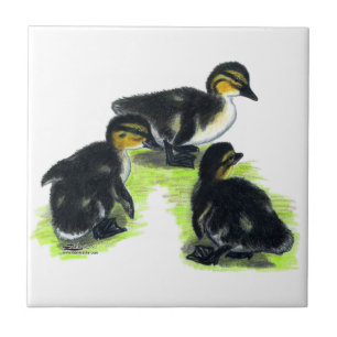 Mallard Ducklings Tile