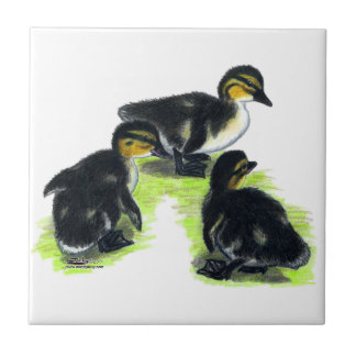 Mallard Ducklings Tile