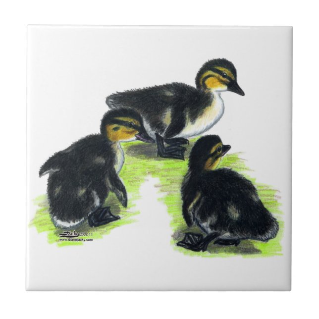Mallard Ducklings Tile (Front)