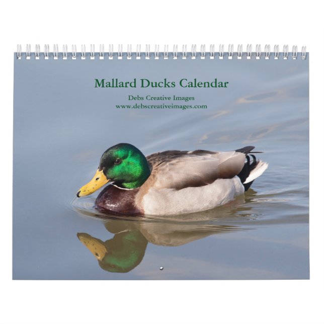 Mallard Ducks 2026 Calendar (Cover)