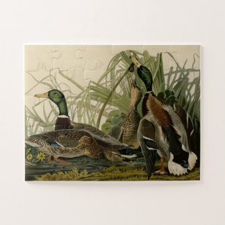 Mallard Ducks from Audubon's Birds of America Jigsaw Puzzle