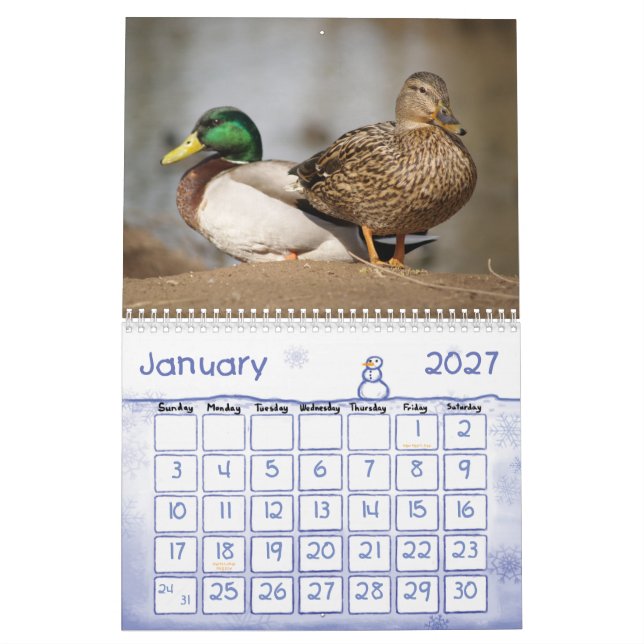 Mallard Ducks Nature Calendar (Jan 2027)