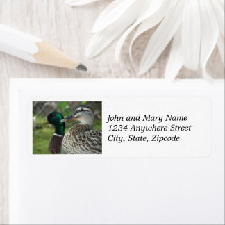 Mallard Ducks Nature Photo Return Address