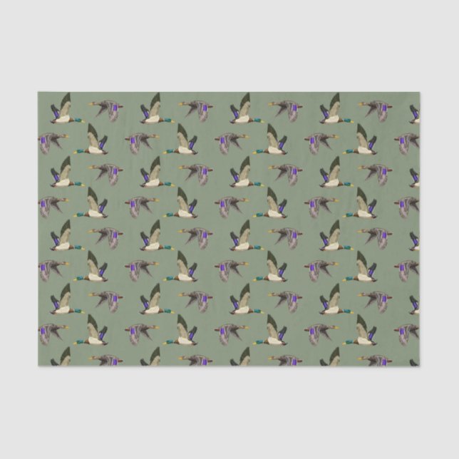 Mallard ducks on green tissue paper (Front)