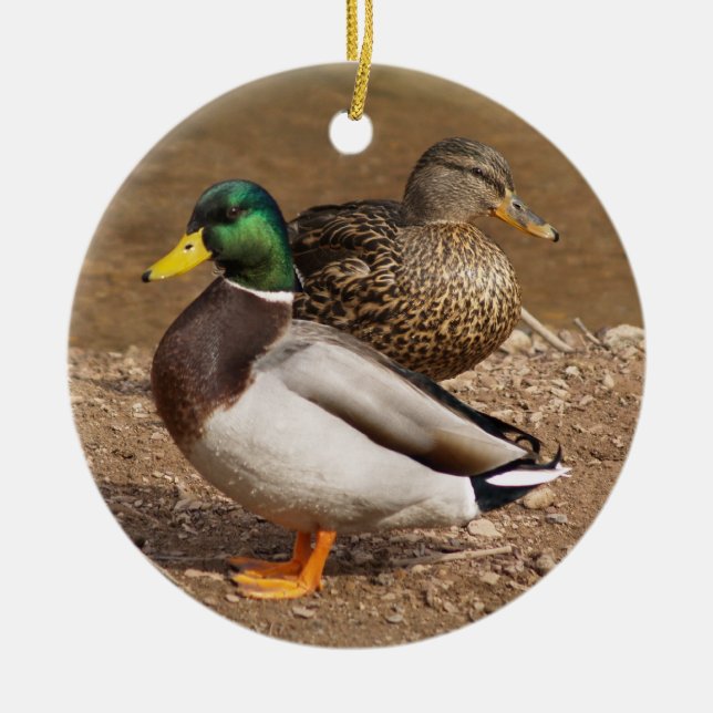 Mallard Ducks Ornament (Front)