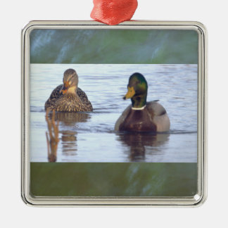 Mallard Ducks Ornament 