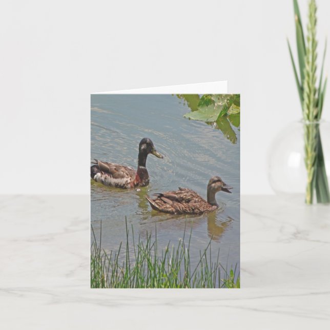 Mallard Ducks Photo Folded Note Card (Front)
