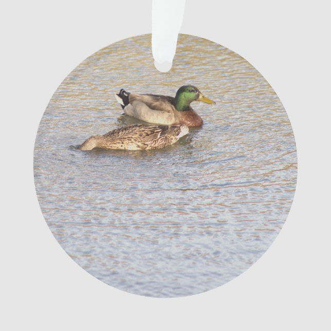Mallard Ducks Photo Ornament  (Front)