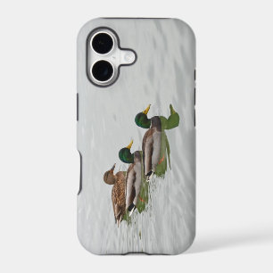 Mallard ducks print iphone 5 case
