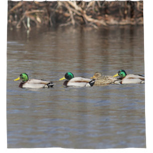 Mallard Ducks Shower Curtain