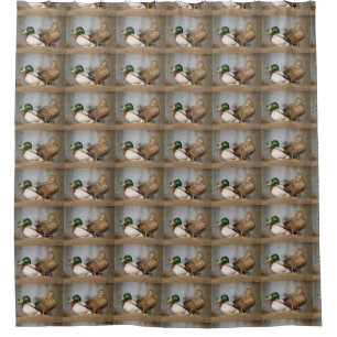 Mallard Ducks Shower Curtain