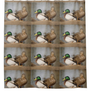 Mallard Ducks Shower Curtain