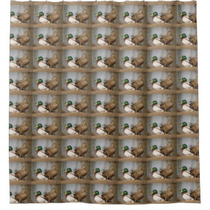 Mallard Ducks Shower Curtain