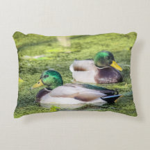 Mallard Ducks Throw Pillow