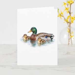Mallard Family Swimming Card