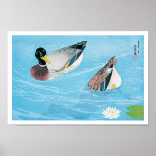 Mallard in the Pond, Goyō Hashiguchi Poster