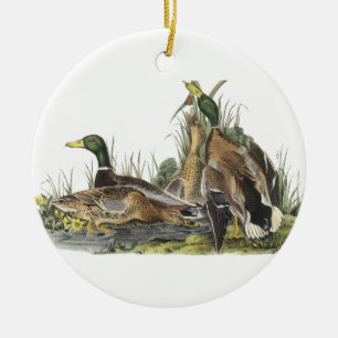 Mallard, John Audubon Ceramic Tree Decoration