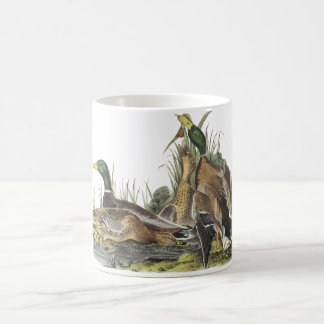 Mallard, John Audubon Coffee Mug