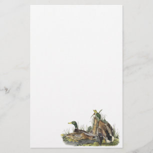 Mallard, John Audubon Stationery