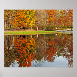 MALLARD LAKE REFLECTIONS/FALL/OAK OPENINGS PRESERV POSTER