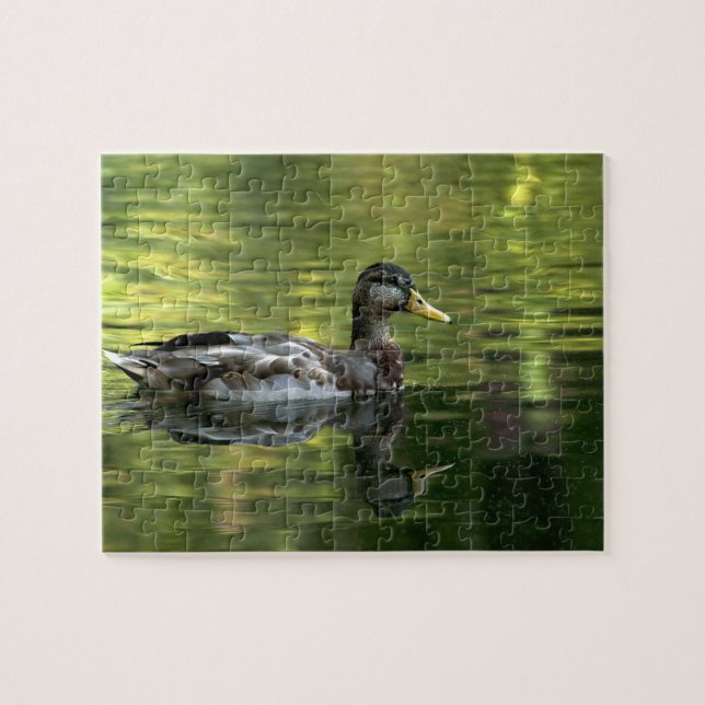 Mallard Mirrored On Green Water Jigsaw Puzzle (Horizontal)