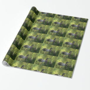 Mallard Mirrored On Green Water Wrapping Paper