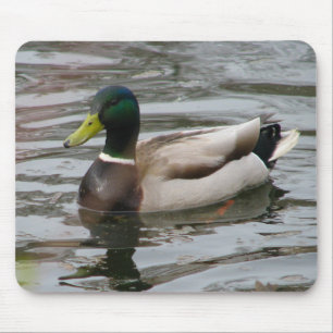 Mallard Mouse Pad
