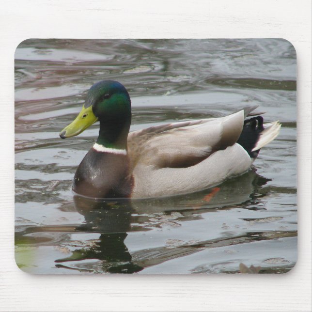 Mallard Mouse Pad (Front)