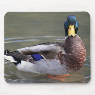 Mallard Mouse Pad