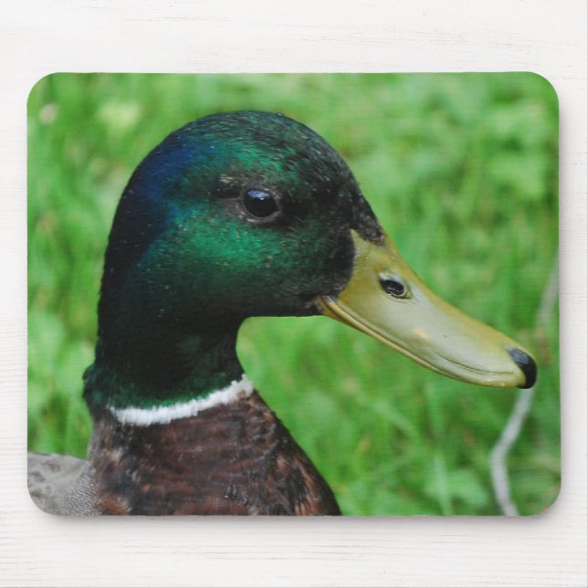 Mallard Mouse Pad (Front)