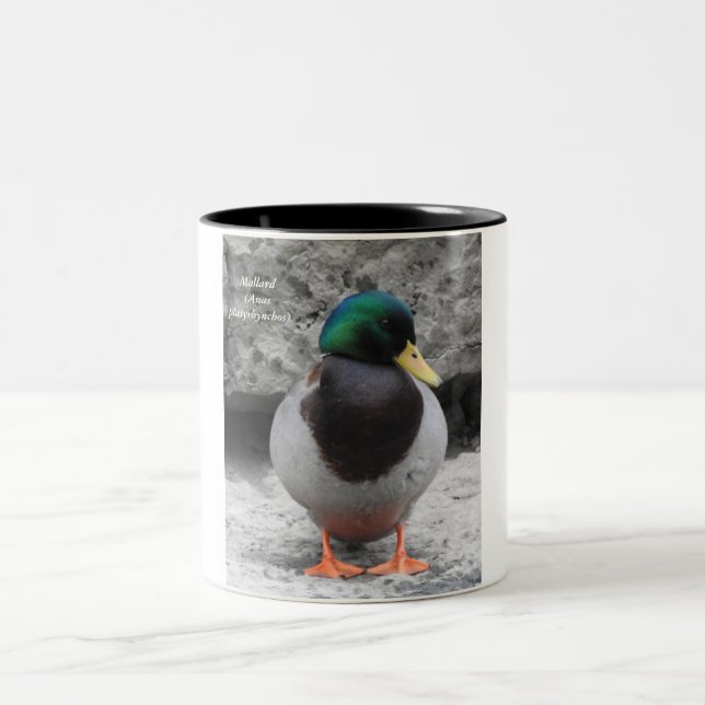 Mallard Mug  (Center)