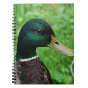 Mallard  Notebook