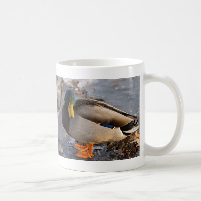 Mallard On Ice Coffee Mug (Right)