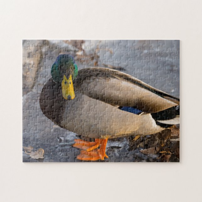 Mallard On Ice Jigsaw Puzzle (Horizontal)