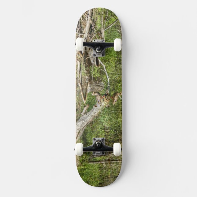 Mallard on Pond Skateboard (Front)