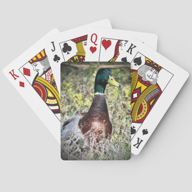 Mallard Playing Cards (Back)