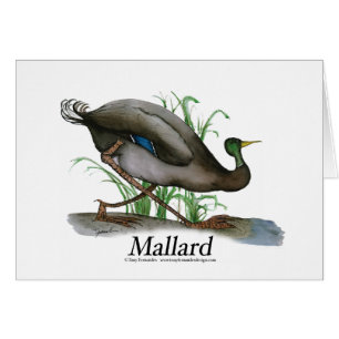 mallard, tony fernandes