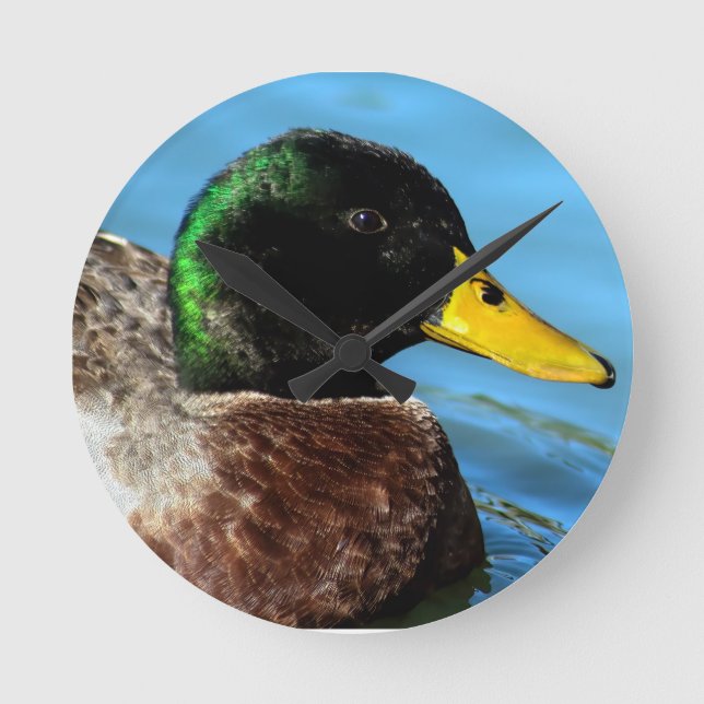 Mallard Up Close Round Clock (Front)