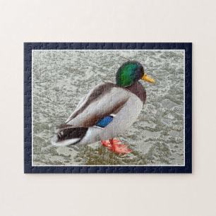 Mallard Wild Duck On Frozen Lake Jigsaw Puzzle