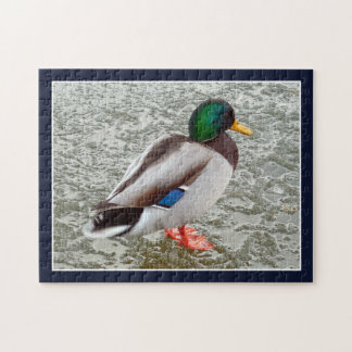 Mallard Wild Duck On Frozen Lake Jigsaw Puzzle